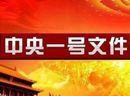 中共中央国务院关于实施乡村振兴战略的意见